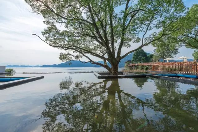 千岛湖最好的五家酒店,千岛湖有哪些价廉物美的湖景酒店