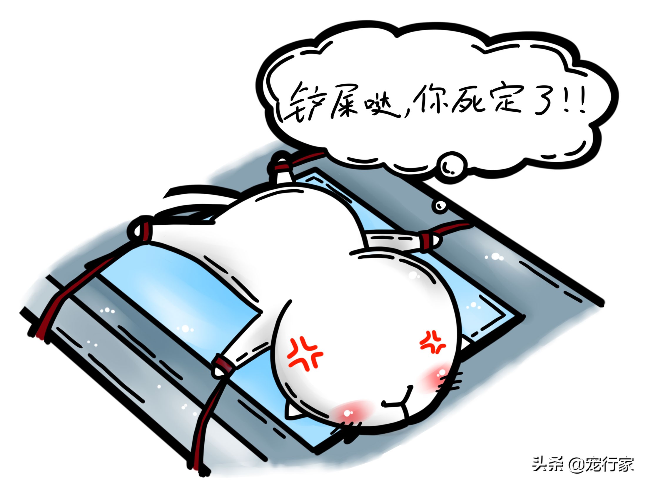 租房房东不让养宠物怎么办,带宠物不给租房怎么办