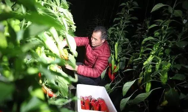 寿光商会,上海山东商会推介会