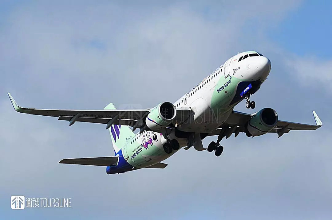 特价机票被坑,特价机票的各种限制与陷阱