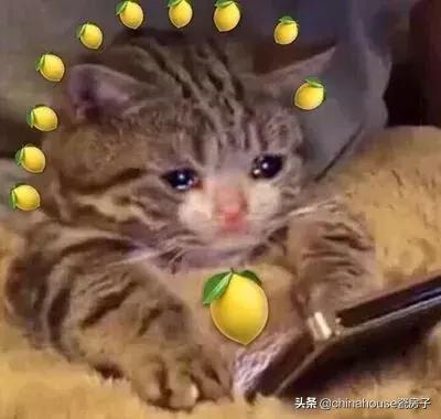 别琢磨怎么学郭碧婷秀钻戒了，在它面前“鸽子蛋”都会黯然失色！