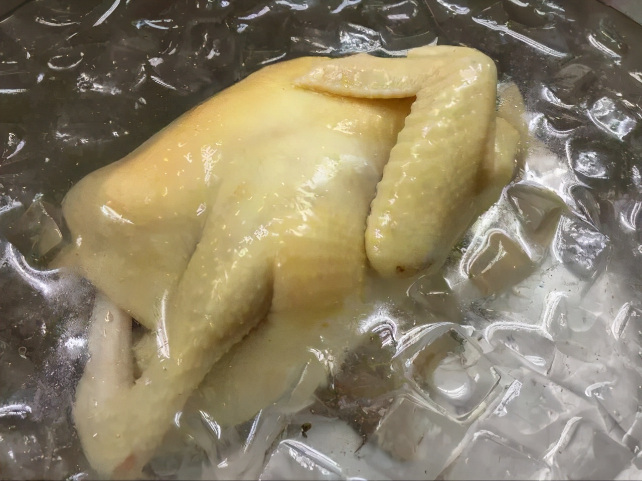 嘉兴白切鸡老字号,正宗嘉兴白切鸡