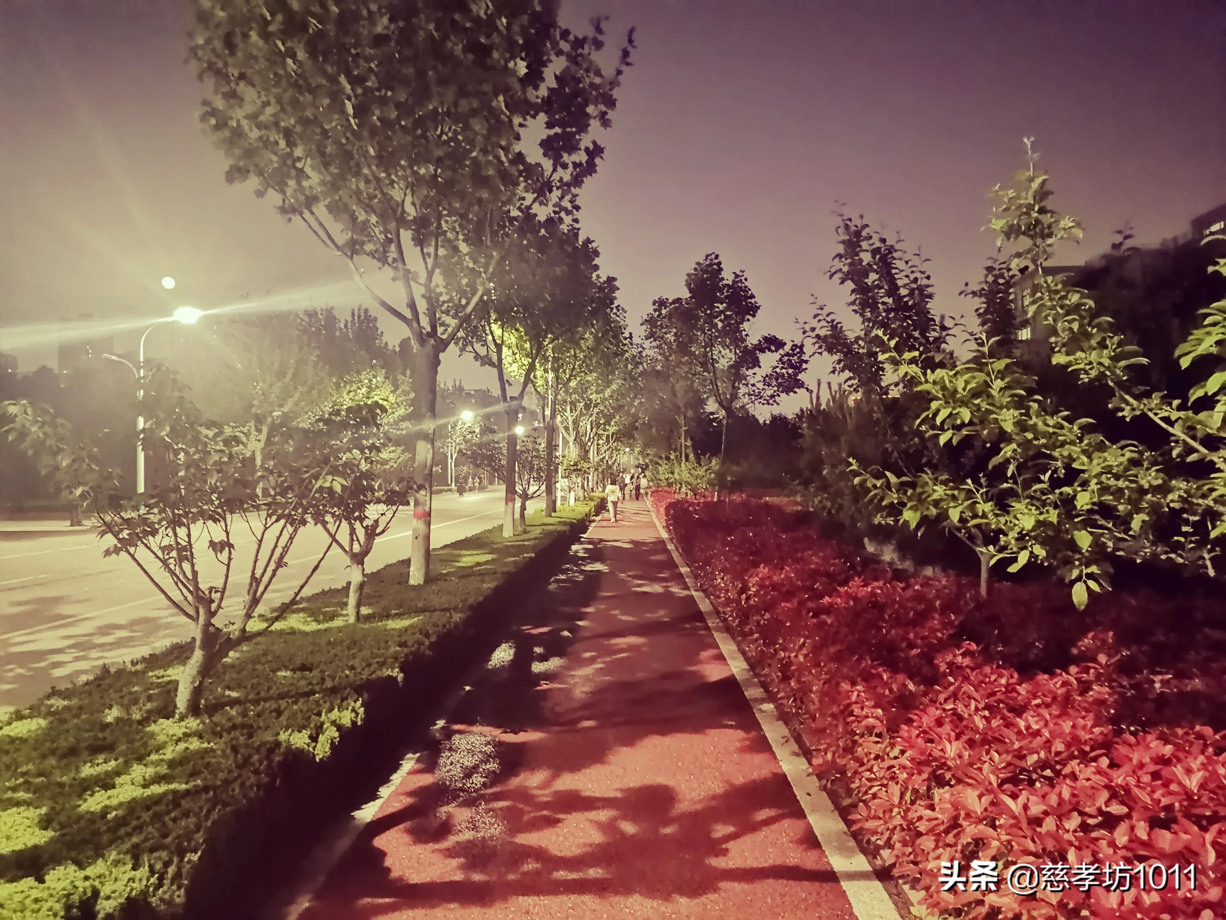 临沂大学校园游览,临沂大学参观感想