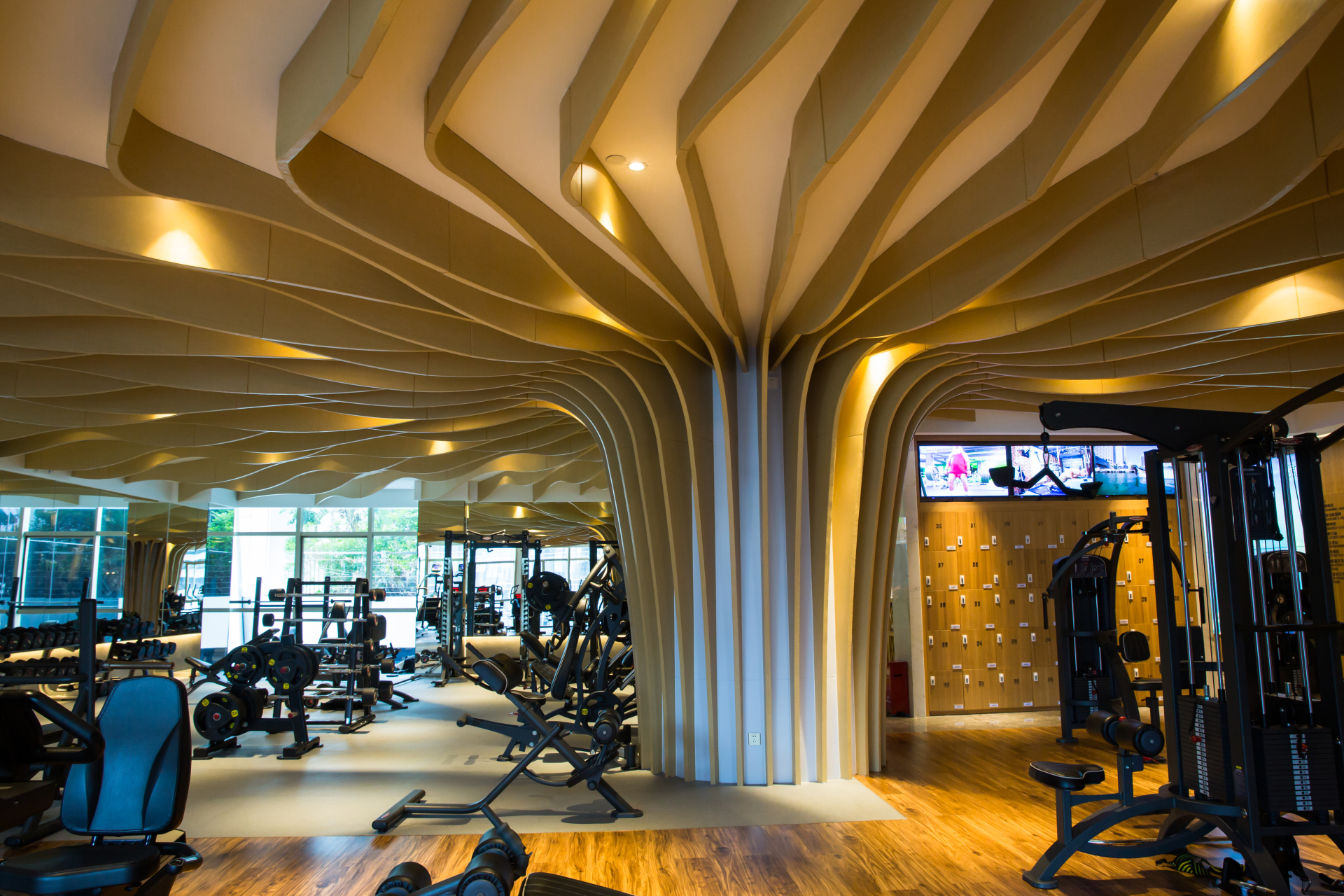 拔草行动之深圳大中华喜来登体验