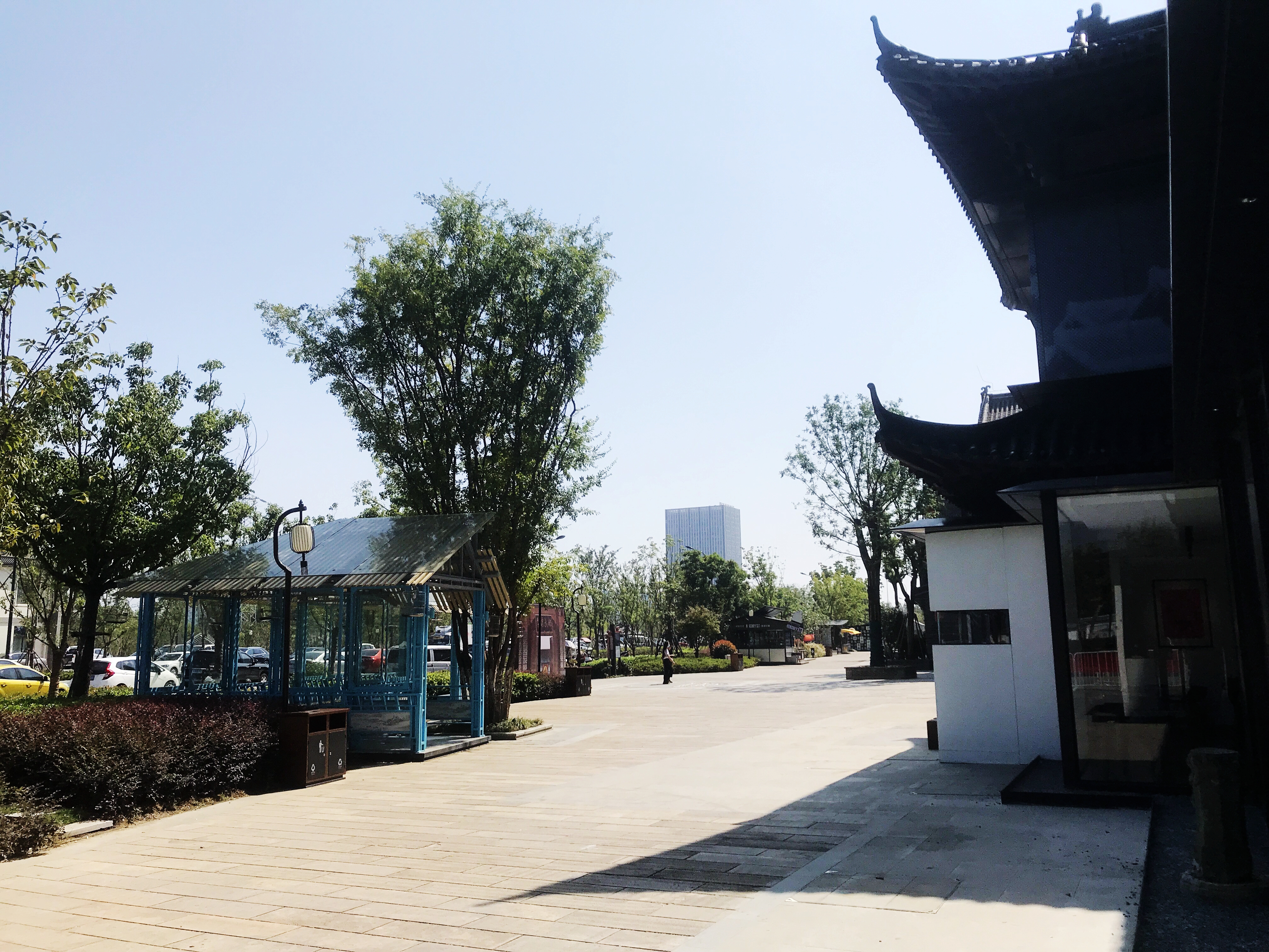 玩转合肥高新区,合肥第二条步行街