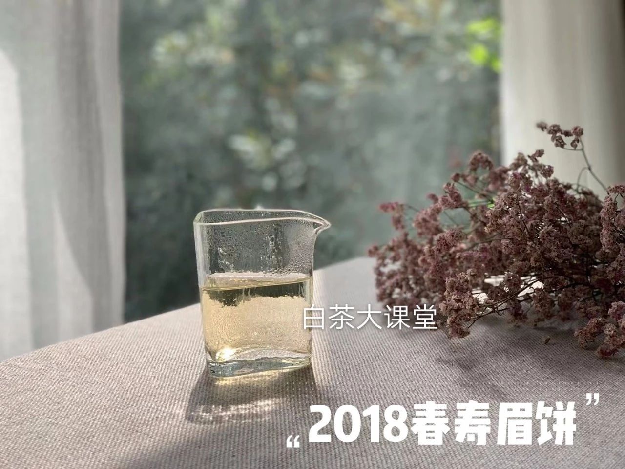 白茶要如何泡茶好喝又简单,泡茶的正确方法和泡白茶步骤视频