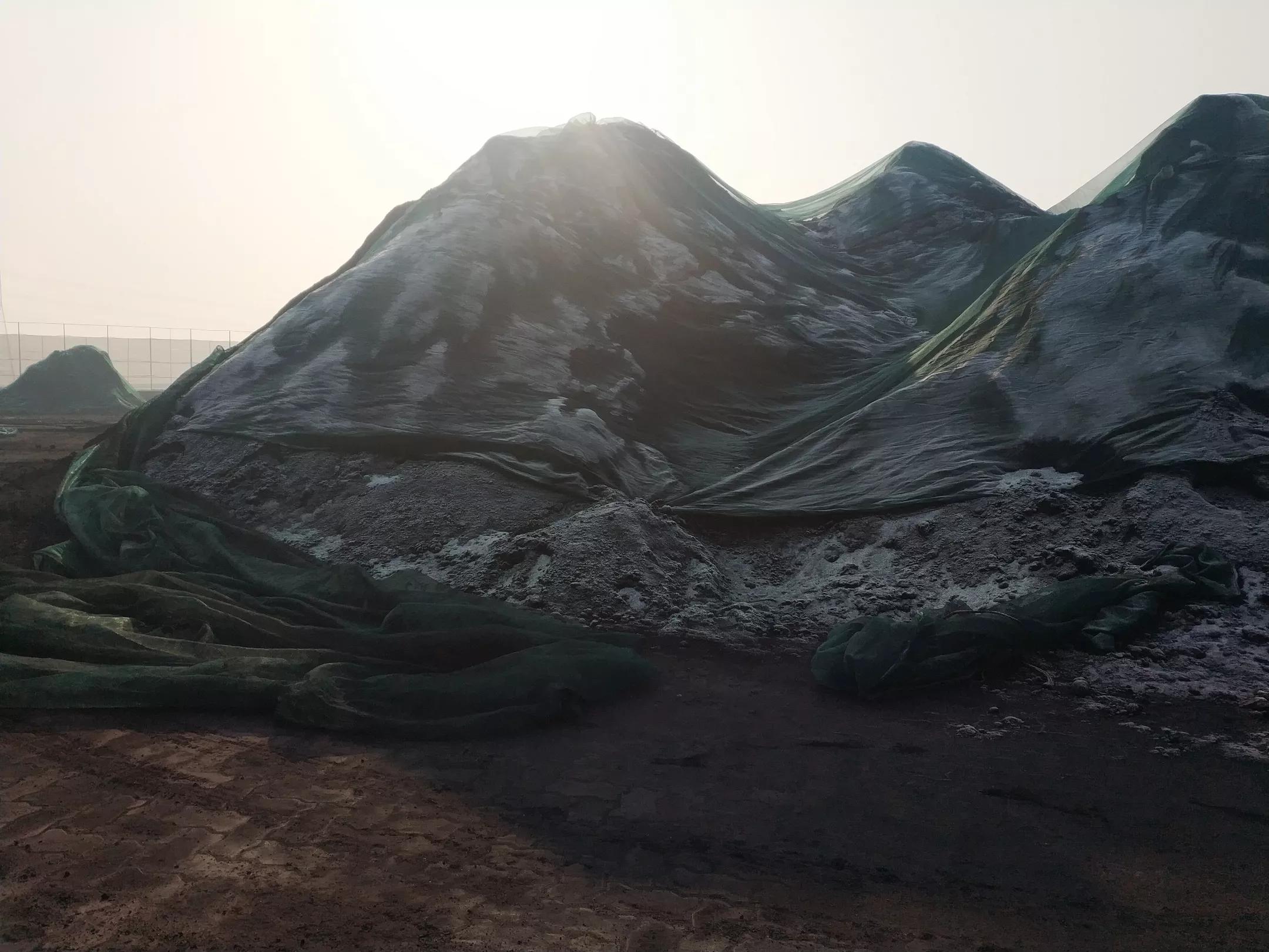 动力煤的疯狂,疯狂的动力煤