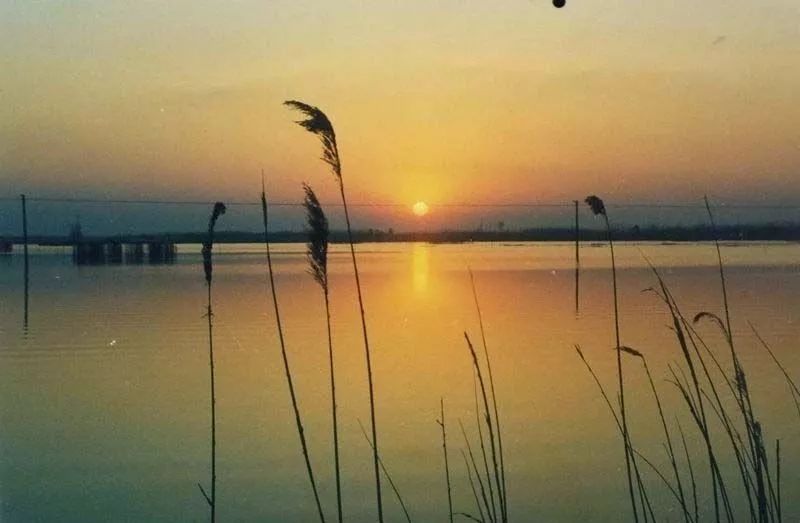 济宁最大的湖,山东最大的湖泊南四湖