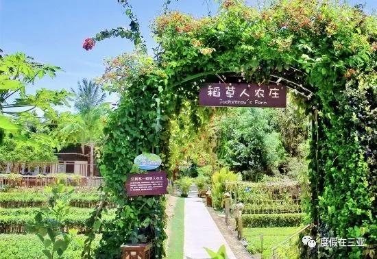 三亚亚龙湾自由行酒店推荐,三亚亚龙湾酒店推荐便宜海景房