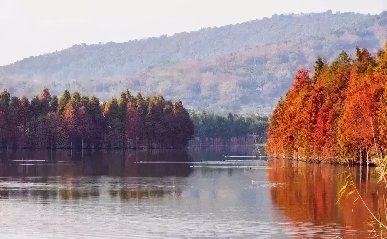 苏州西山十大知名农家乐有哪些,带你走一走苏州的太湖边农家乐