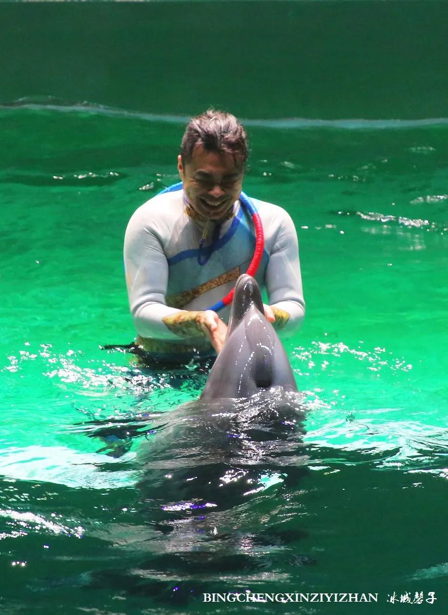 走进哈尔滨完整视频,走进哈尔滨海洋馆