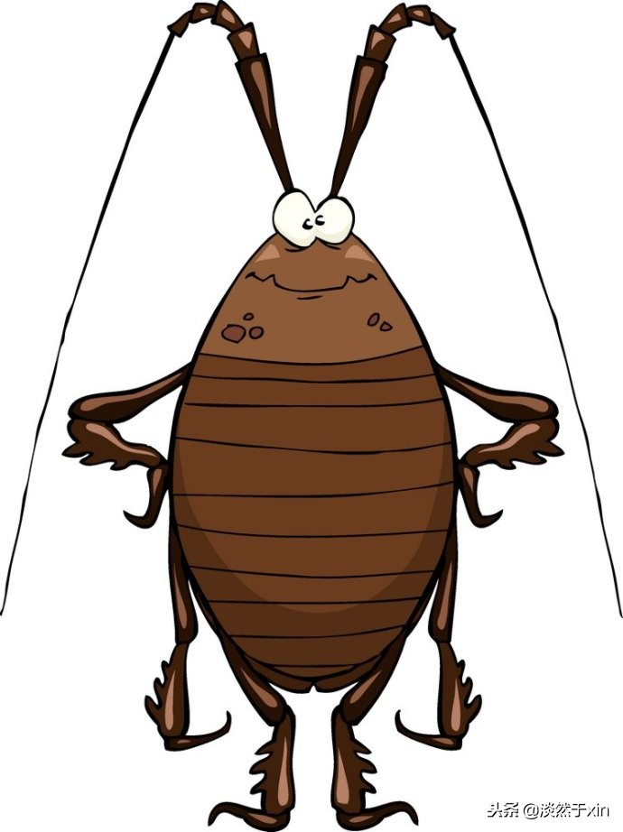 为什么有人讨厌小强,小强对人类的好处