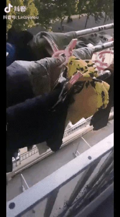 上海熊孩子非礼5岁小妹妹，如何做好父亲的角色