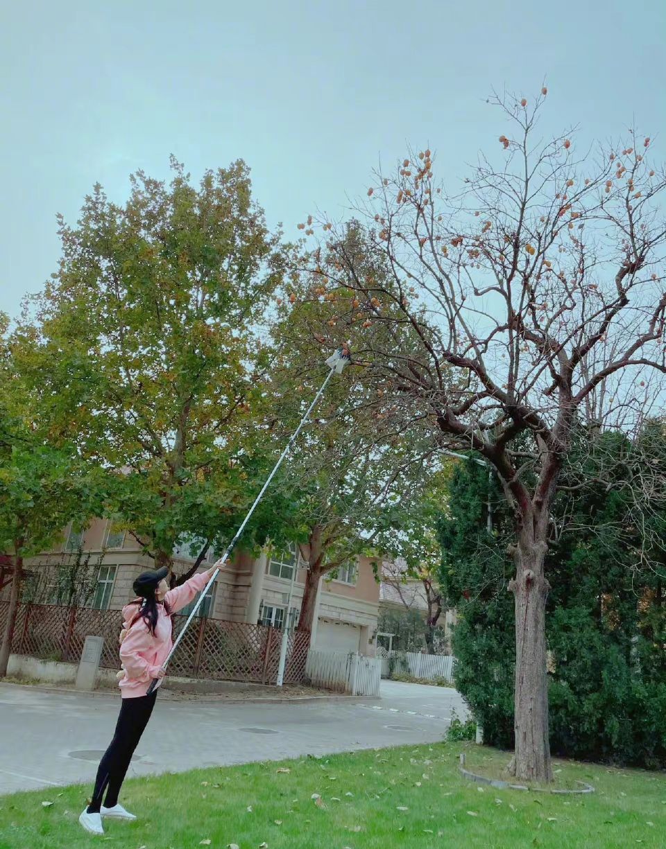 陈好身穿深蓝色礼服亮相,陈好最新穿衣图