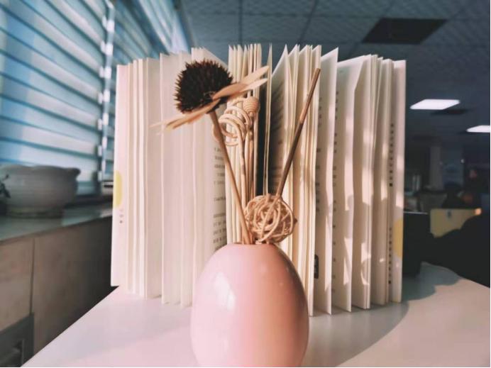 国家开放大学可以报考事业单位吗,国家开放大学报名怎么无法选专业