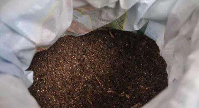 盆栽泥土有虫子怎么办？4个“方法”彻底消灭，花疯长，健康茂盛