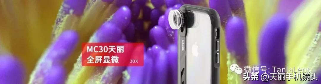 天丽摄影作品集,天丽镜头视频完整版