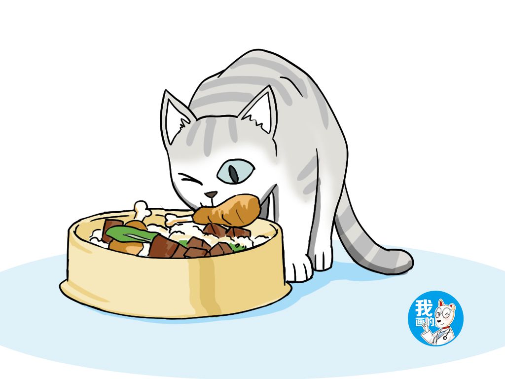 铲屎官猫咪放屁,铲屎官睡觉时猫咪放屁