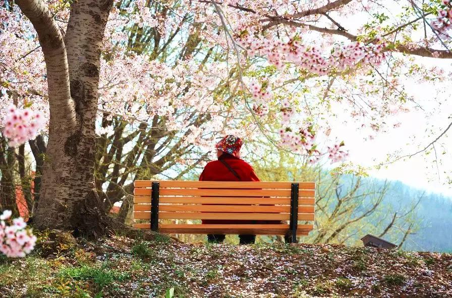 辽宁省有个小城市,辽宁最有魅力的小城