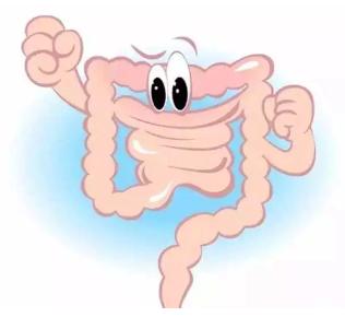 喝进口奶粉腹泻国产奶粉不拉肚子,喝了腹泻奶粉什么时候转正常奶粉