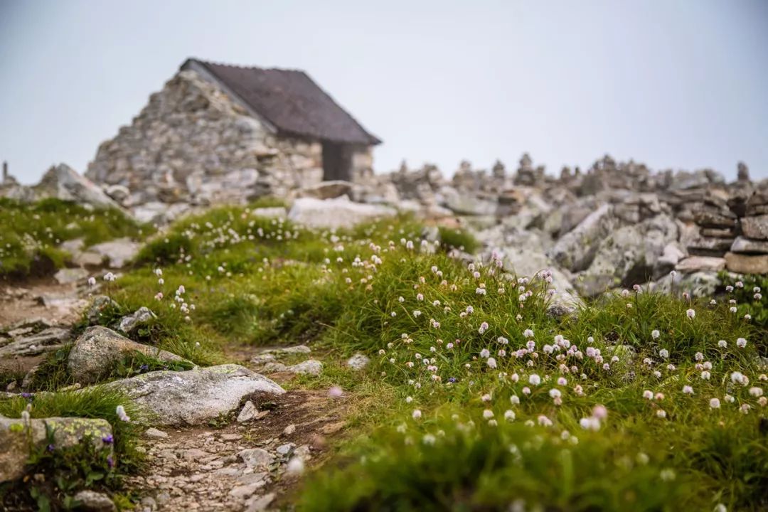 心痛！网红玩法连它1%的美都get不到！让开，游侠客带你玩真西安