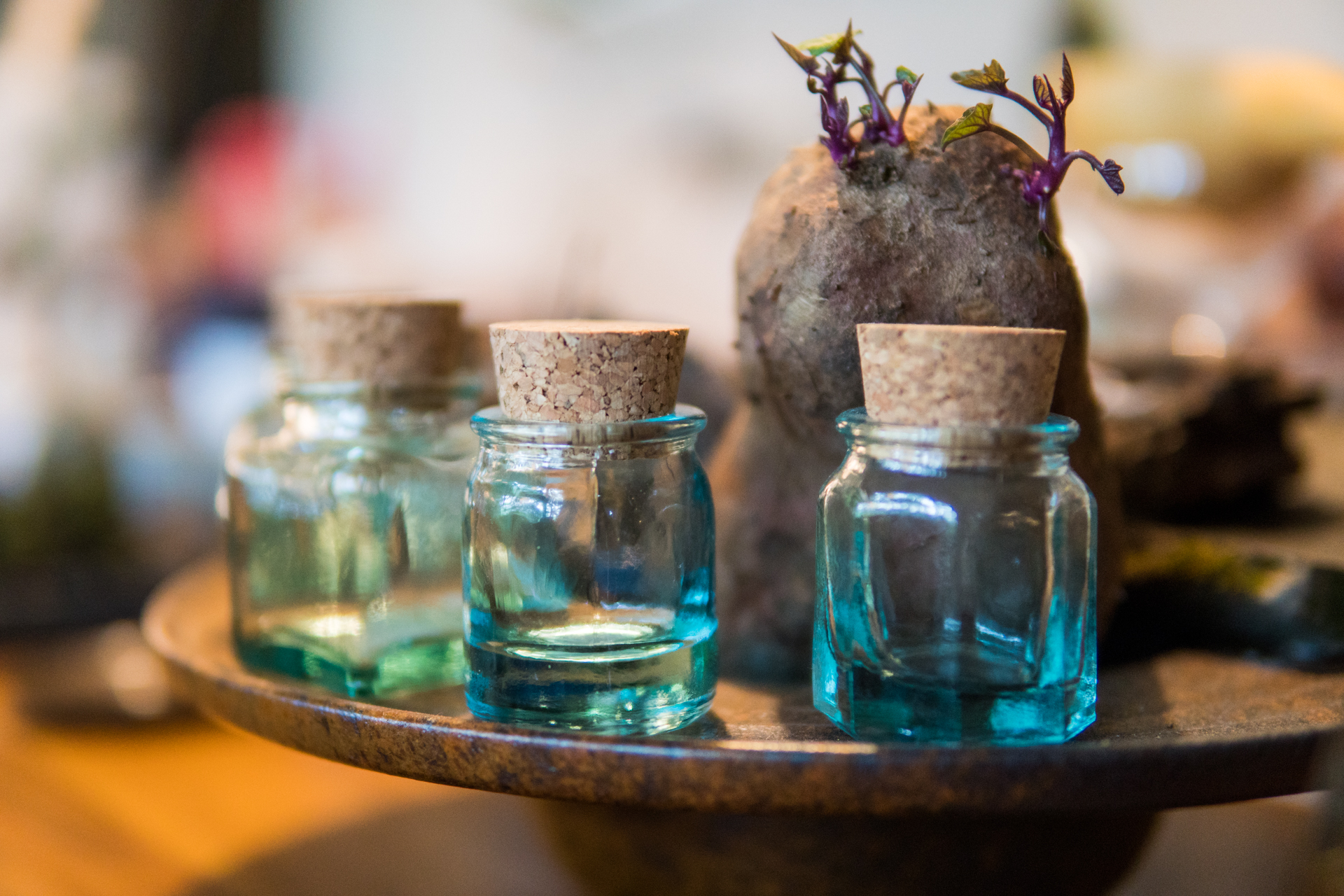 冬天雅致梦溪山庄杭州九溪店,雅致梦溪山庄杭州九溪店