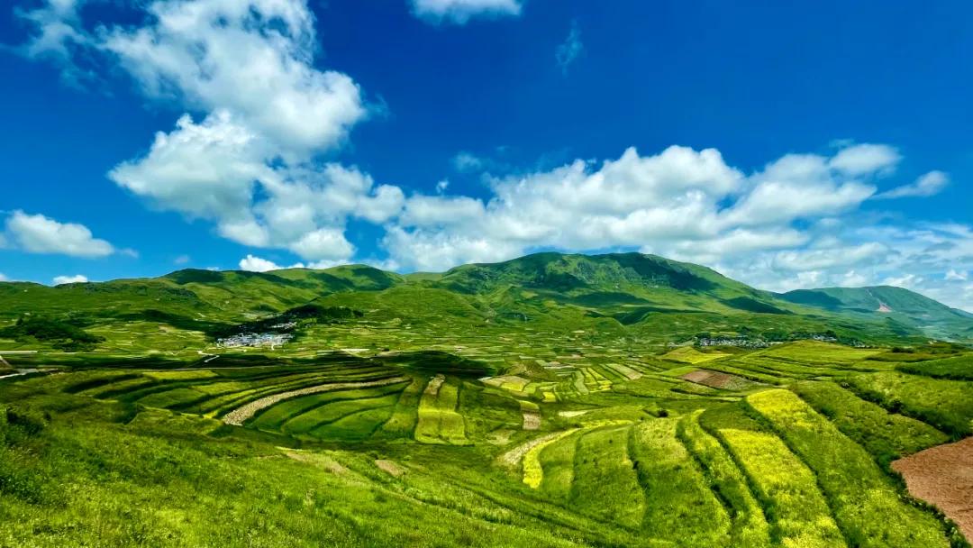 陇南市云上金马池,卧云铺清凉避暑好去处