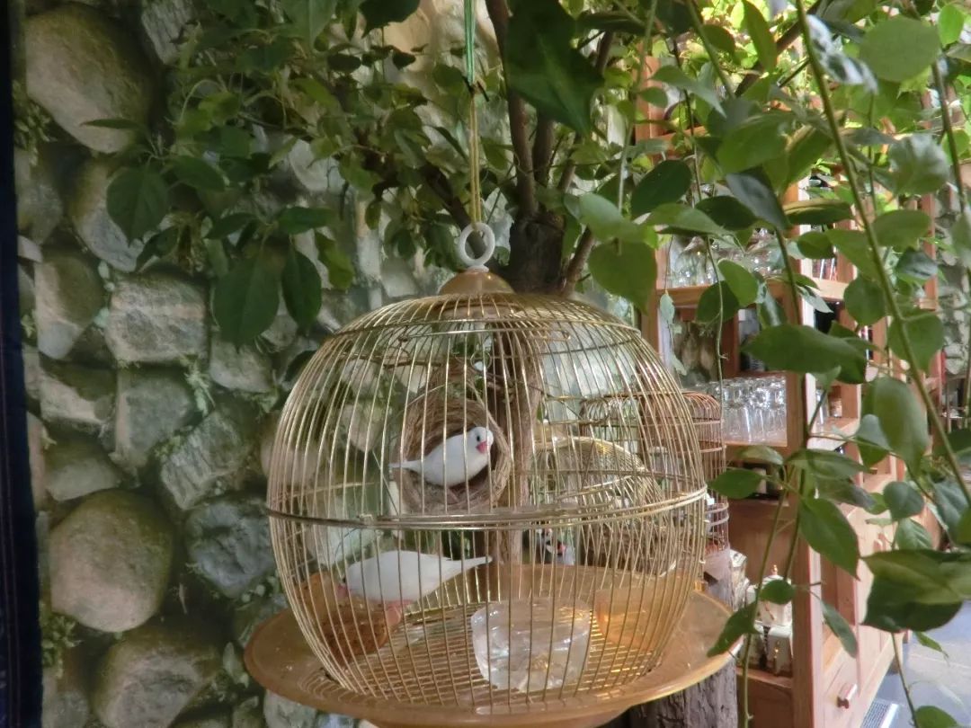 隐巷晚livehouse北京,隐巷民宿大床房