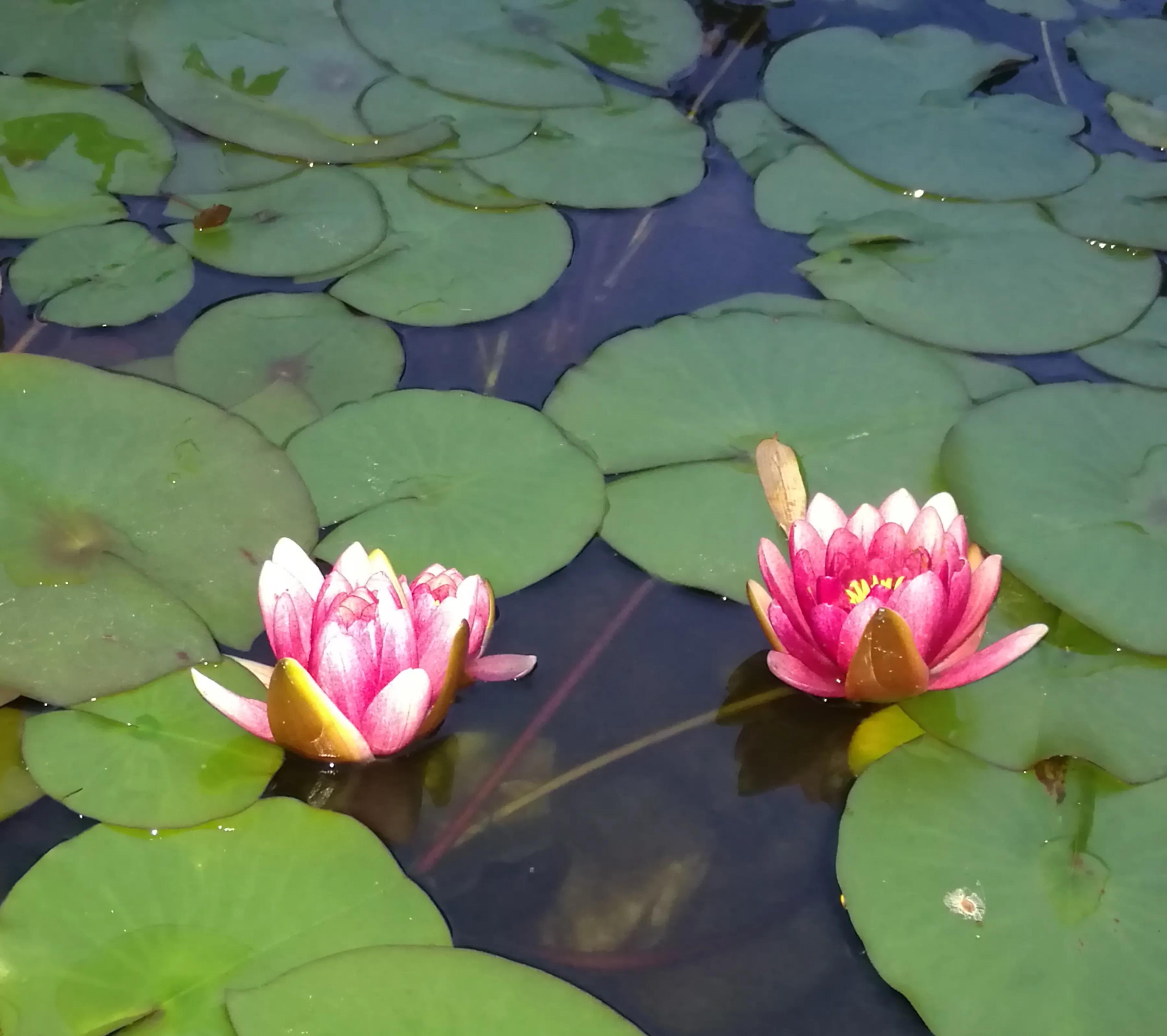 手拍世界（手机摄影平台）-群员作品集（总第671期）