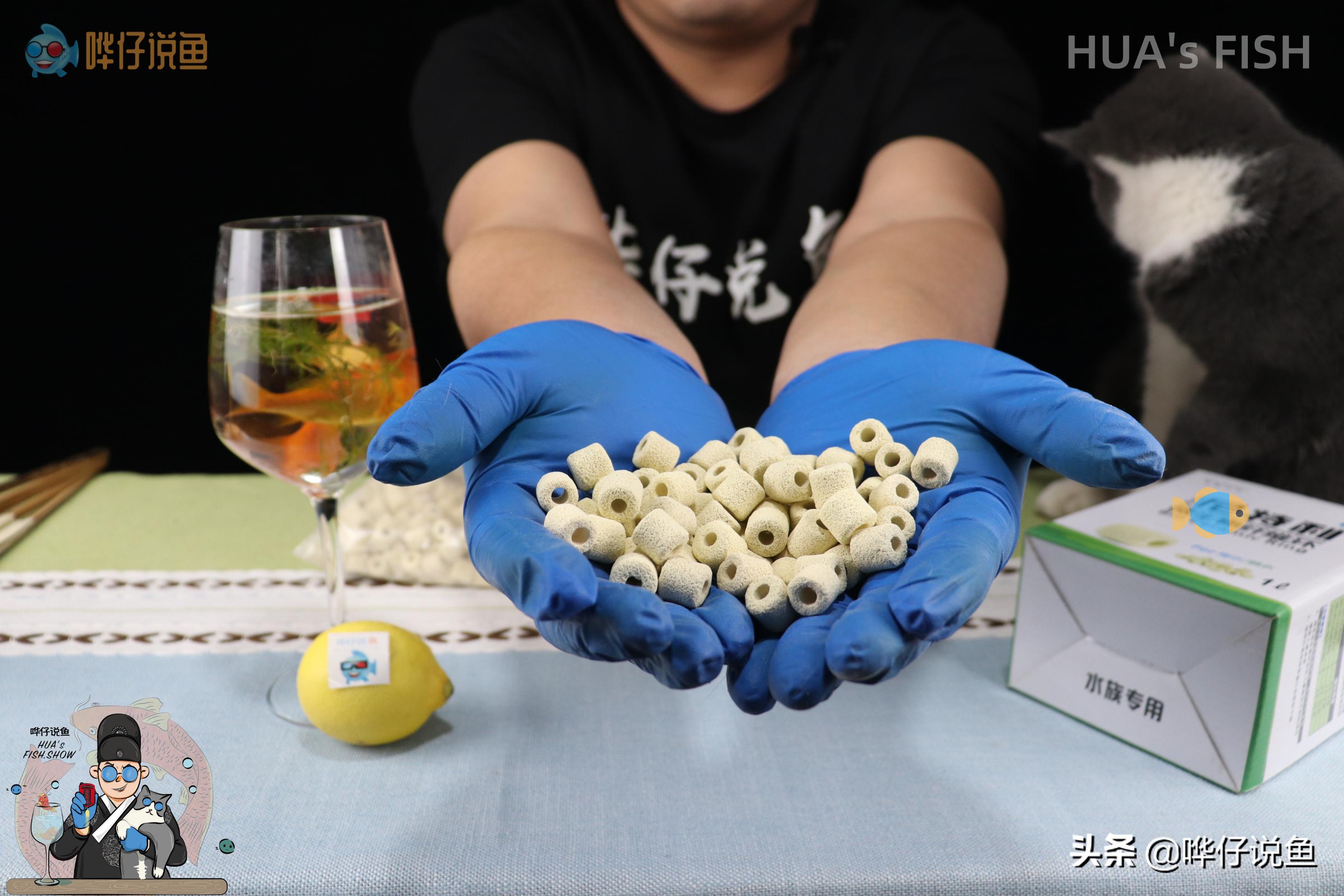 怎样选鱼缸滤材,新手该如何选择鱼缸滤材