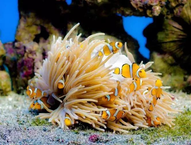 成都可以去的小岛,成都小岛旅游推荐路线攻略