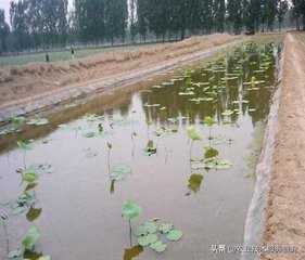 鱼塘防漏处理的最好方法,鱼塘专用防漏布