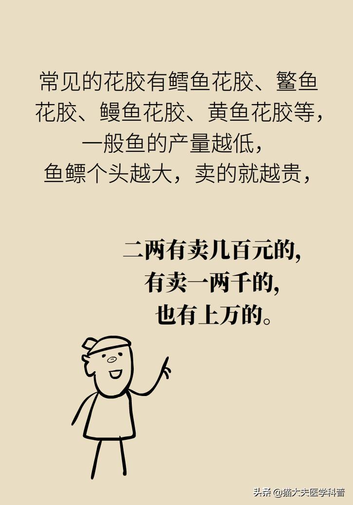 明星吃花胶,花胶的功效与作用排行榜