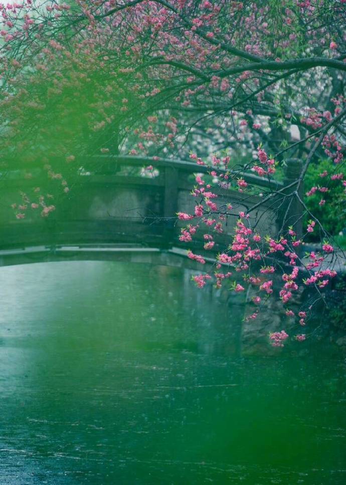 书信、酒、月亮、太阳、银河的雅称，你都听过吗？收藏学习