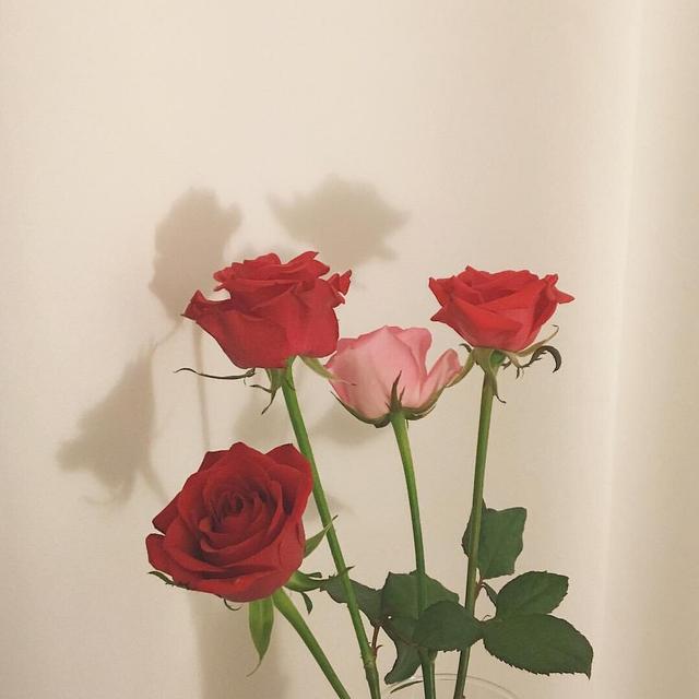 关于纯爱的小说金句,各部甜文小说经典语录