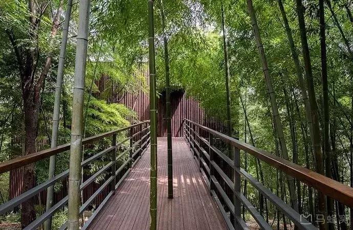 南京最好的山庄排名,南京最美的6个地方你都去过了吗