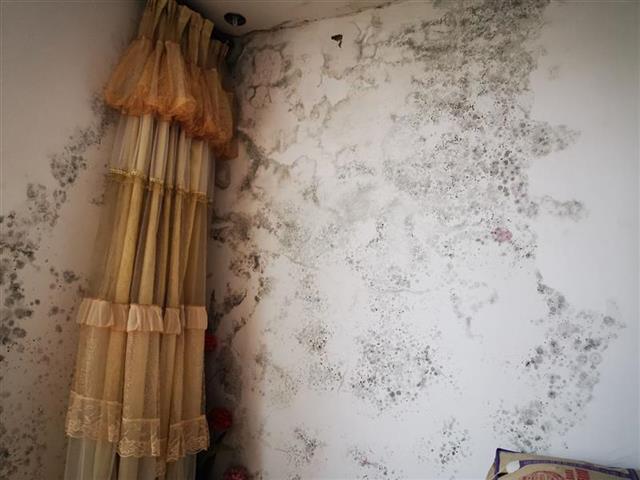 村民房屋外观改造,旧小区改造后房屋漏水