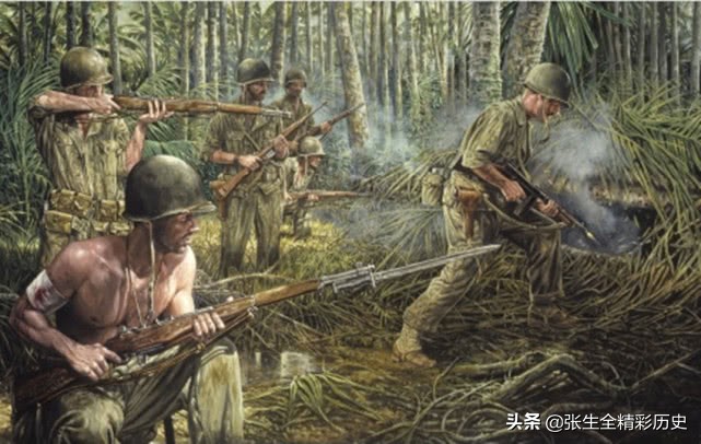 美军打过最惨的一仗,美军飞机与鸟相撞