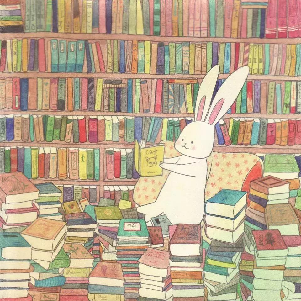 2021最火的兔子玩偶,2023年最火兔子玩偶