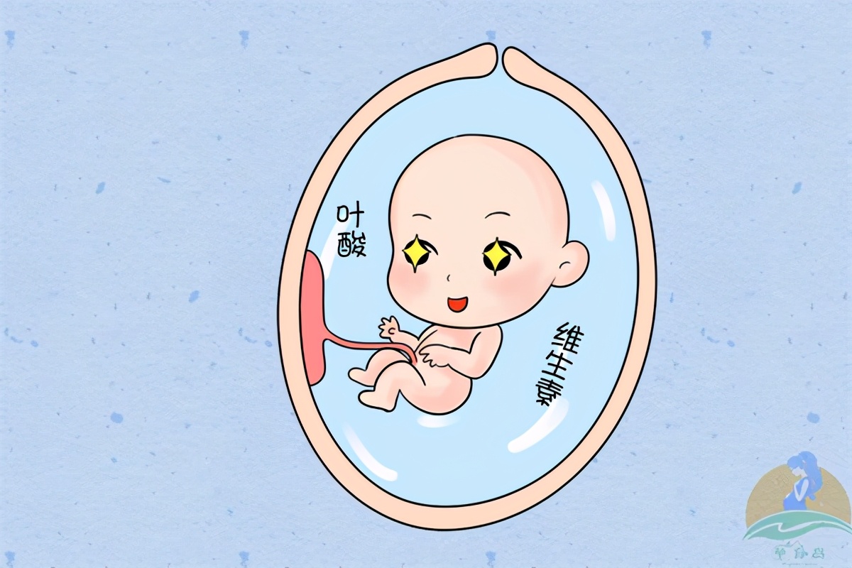 备孕吃叶酸有什么讲究和忌讳,备孕期间叶酸一般吃多少合适