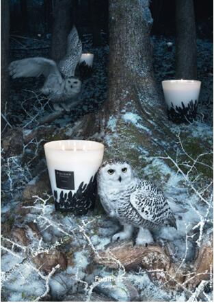 鍑拻鑷冲皧杩涘彛,鍑拻鑷冲皧杩涘彛瀹跺眳娣卞湷