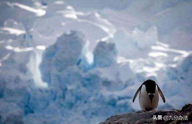 珠峰脚下长草,珠峰长草视频