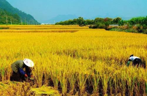 中国历代的三十大发明，每一个都超越了时代，都征服了世界