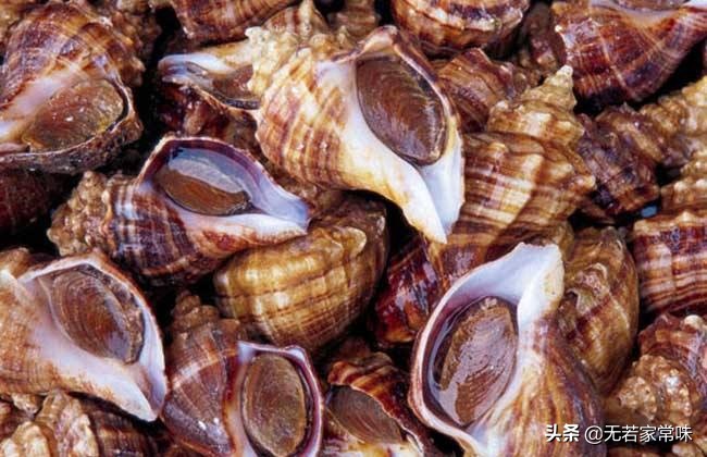 死臭海螺对人体伤害大，知道这4种挑选方法，能把海鲜小贩挑哭！
