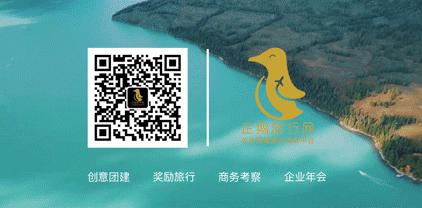恭喜你！你被通缉啦！企鹅旅行网招人啦！