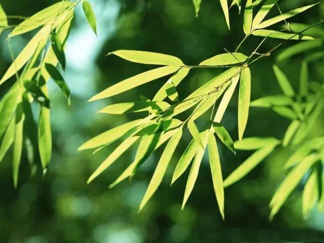 信佛相信佛的存在,信佛信则有不信则无