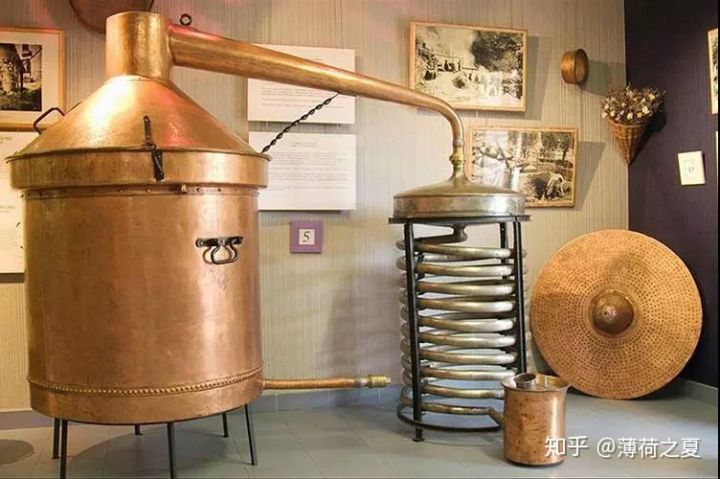 依兰花精油是什么,依兰花提取精油