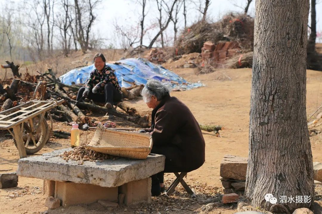 泗张王家庄民俗,泗水泗张王家庄