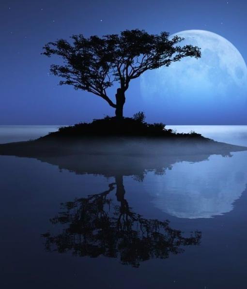 苏轼这首词简直就是催泪弹,苏轼最淡然的一首词安慰世人900年