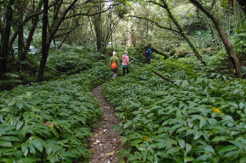 把旧羽绒服改成新款的,把旧的羽绒服拆了做新的